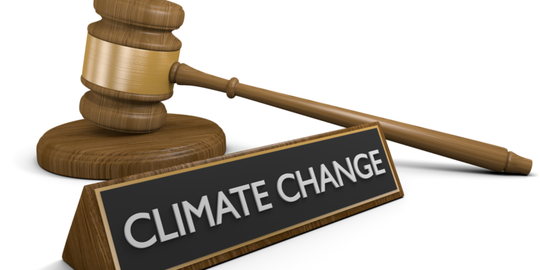 Adapting to Climate Change: Legal Considerations for Businesses in the Philippines