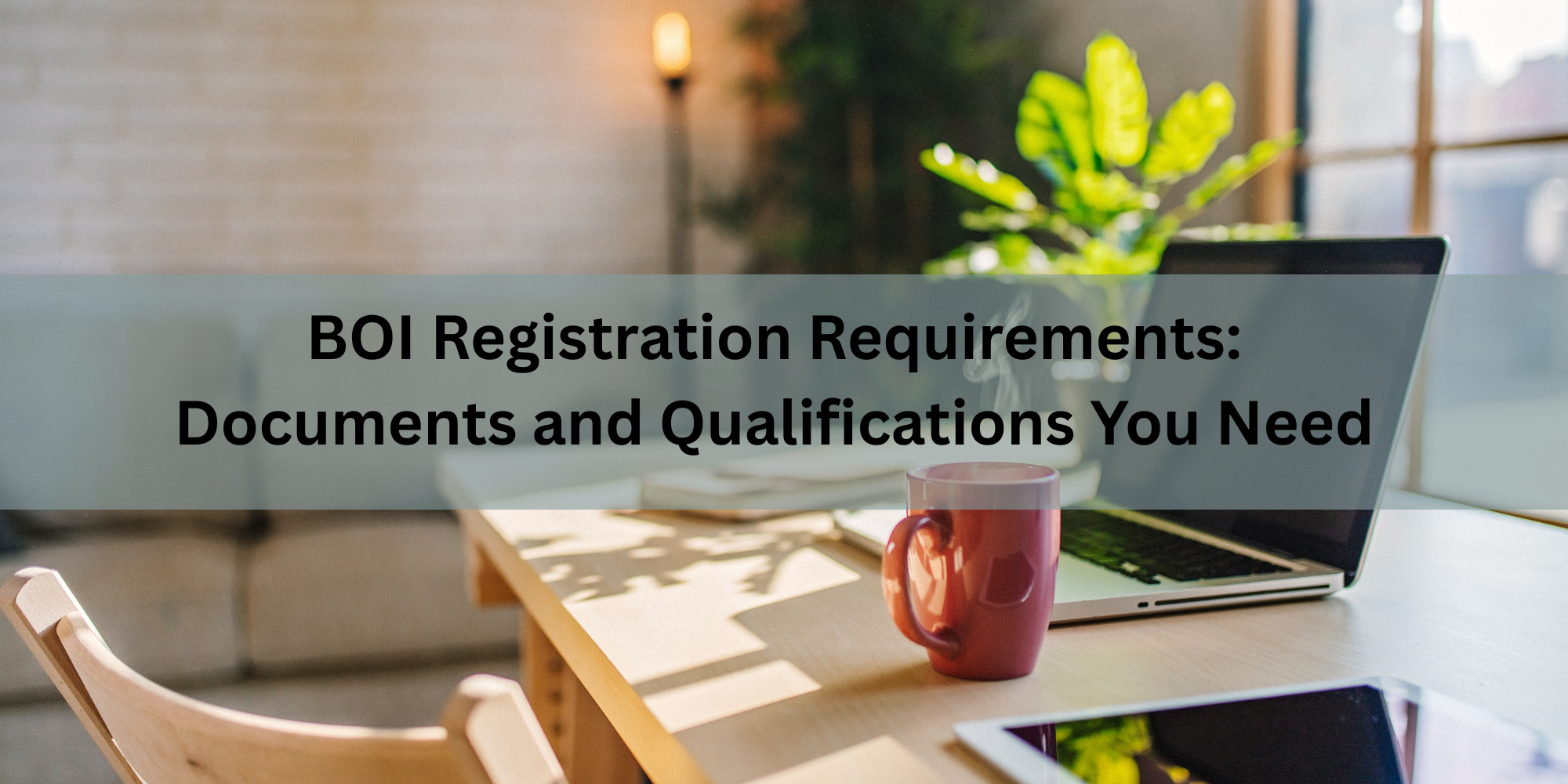 BOI Registration Requirements: Documents and Qualifications You Need