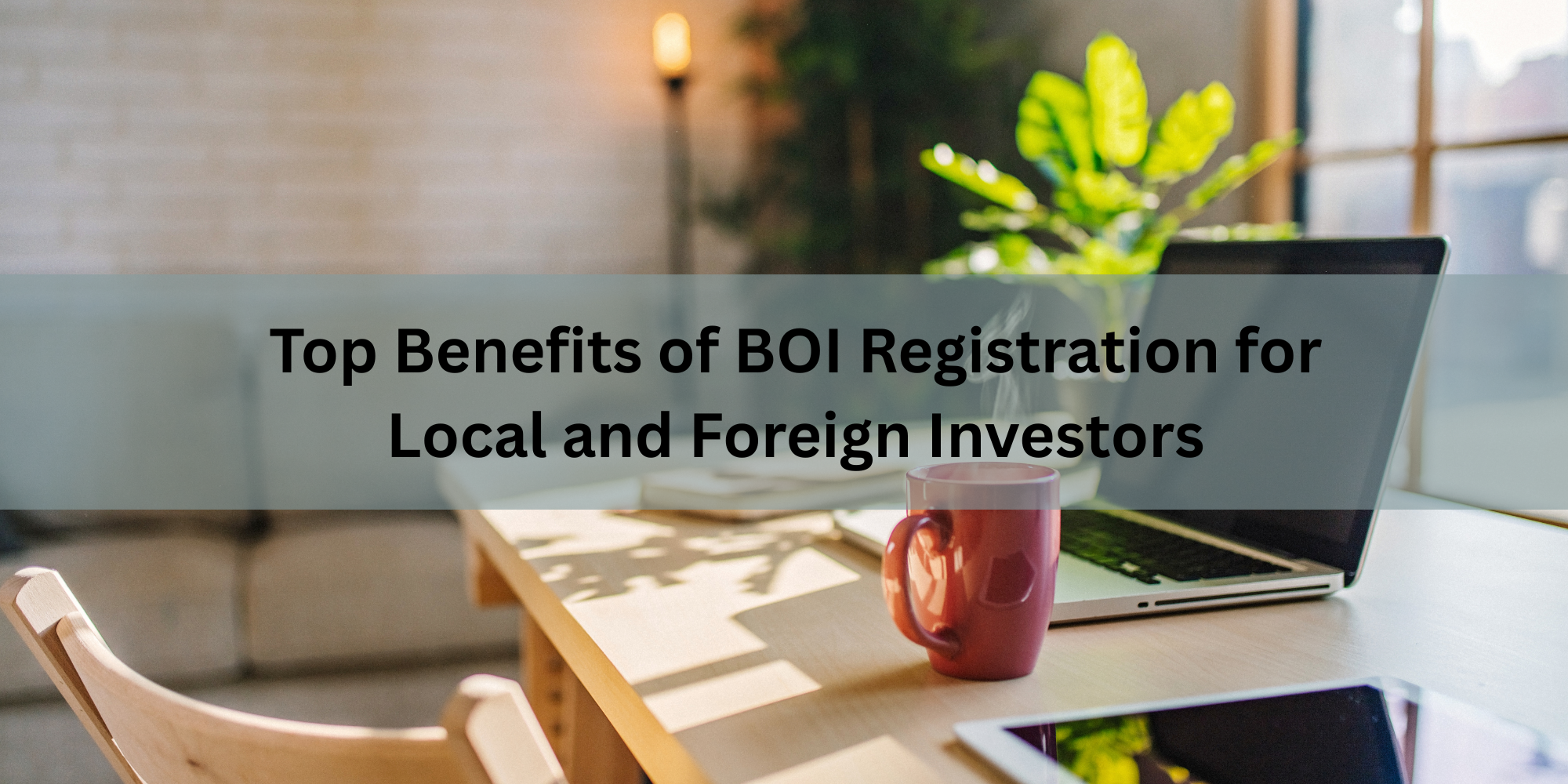 Top Benefits of BOI Registration for Local and Foreign Investors